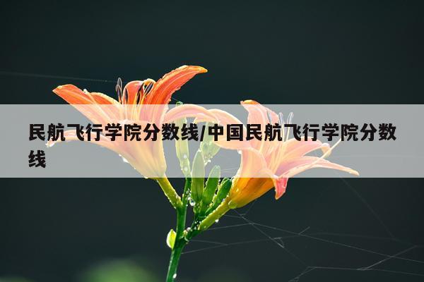 民航飞行学院分数线/中国民航飞行学院分数线