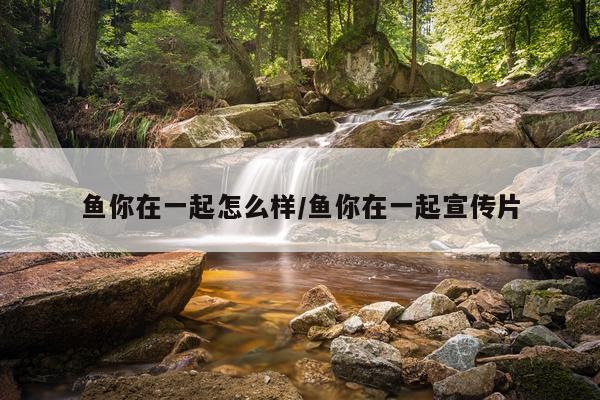 鱼你在一起怎么样/鱼你在一起宣传片