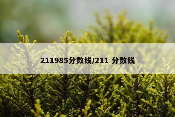 211985分数线/211 分数线