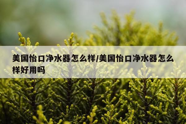 美国怡口净水器怎么样/美国怡口净水器怎么样好用吗