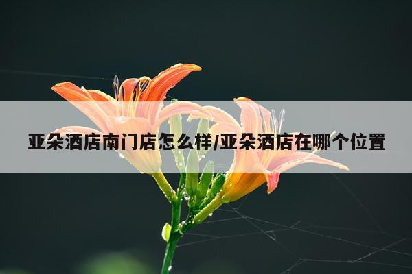 亚朵酒店南门店怎么样/亚朵酒店在哪个位置