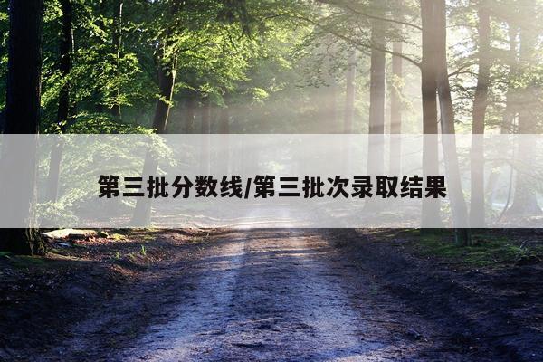 第三批分数线/第三批次录取结果