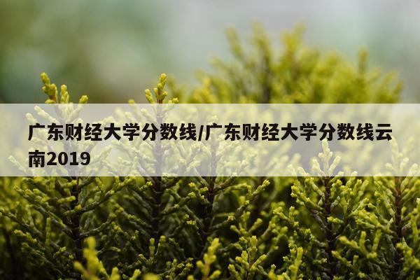 广东财经大学分数线/广东财经大学分数线云南2019
