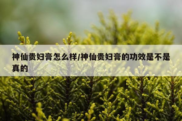 神仙贵妇膏怎么样/神仙贵妇膏的功效是不是真的
