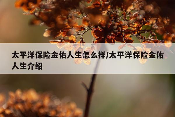 太平洋保险金佑人生怎么样/太平洋保险金佑人生介绍