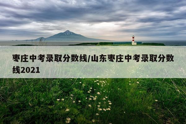 枣庄中考录取分数线/山东枣庄中考录取分数线2021