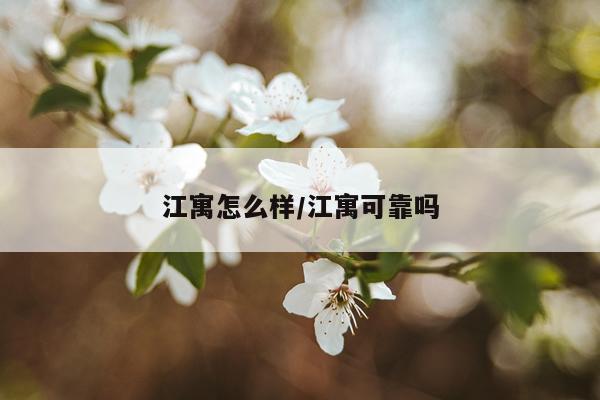 江寓怎么样/江寓可靠吗