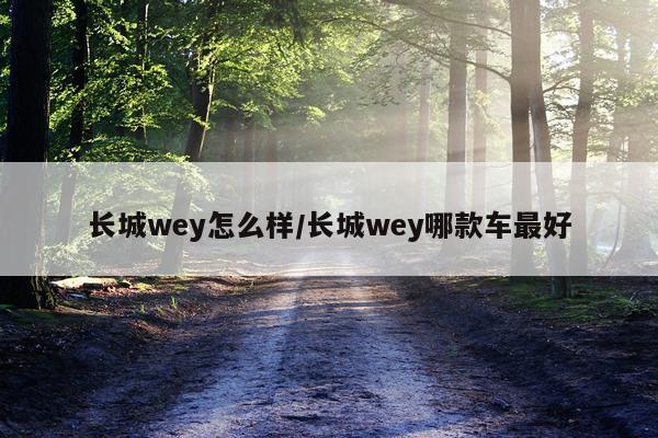 长城wey怎么样/长城wey哪款车最好