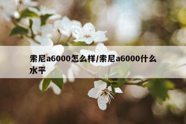 索尼a6000怎么样/索尼a6000什么水平