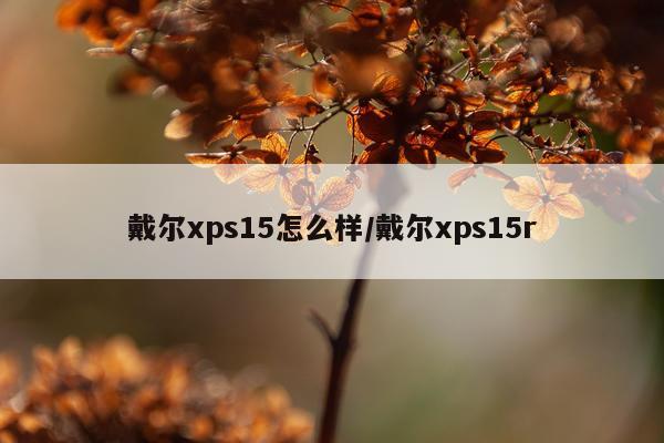 戴尔xps15怎么样/戴尔xps15r