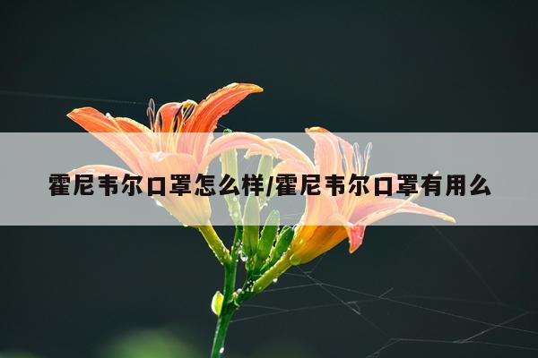 霍尼韦尔口罩怎么样/霍尼韦尔口罩有用么