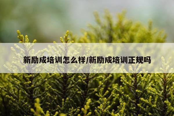 新励成培训怎么样/新励成培训正规吗