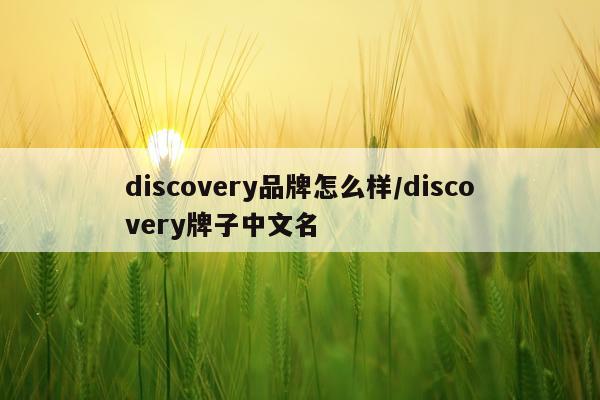 discovery品牌怎么样/discovery牌子中文名