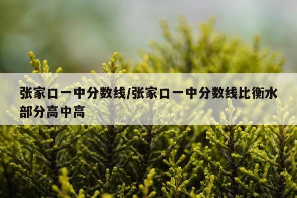 张家口一中分数线/张家口一中分数线比衡水部分高中高