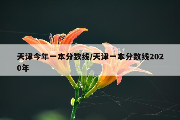 天津今年一本分数线/天津一本分数线2020年