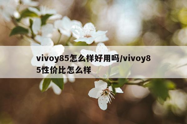 vivoy85怎么样好用吗/vivoy85性价比怎么样