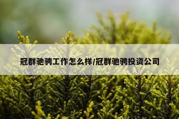 冠群驰骋工作怎么样/冠群驰骋投资公司