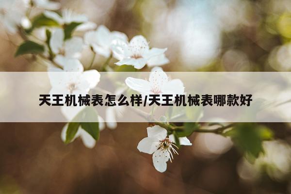 天王机械表怎么样/天王机械表哪款好