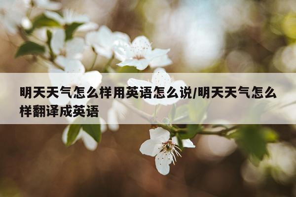 明天天气怎么样用英语怎么说/明天天气怎么样翻译成英语