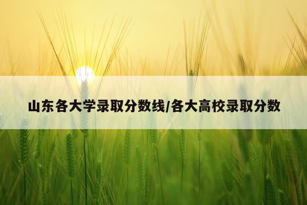 山东各大学录取分数线/各大高校录取分数