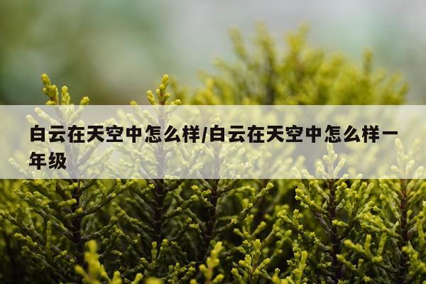 白云在天空中怎么样/白云在天空中怎么样一年级