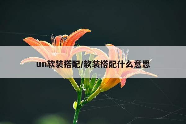 un软装搭配/软装搭配什么意思