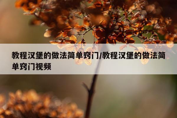 教程汉堡的做法简单窍门/教程汉堡的做法简单窍门视频