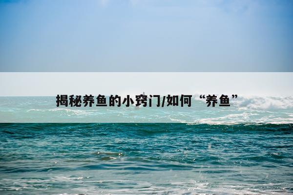 揭秘养鱼的小窍门/如何“养鱼”