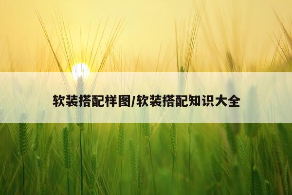 软装搭配样图/软装搭配知识大全