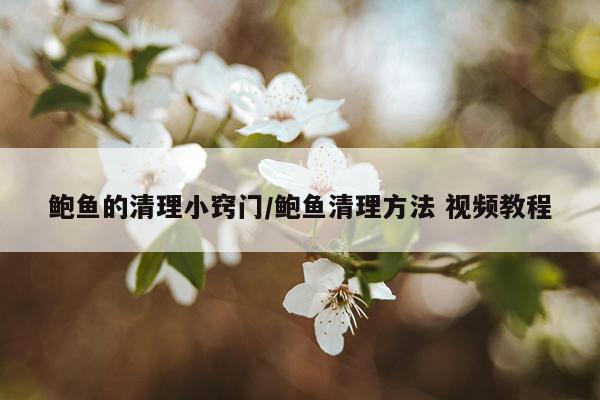 鲍鱼的清理小窍门/鲍鱼清理方法 视频教程