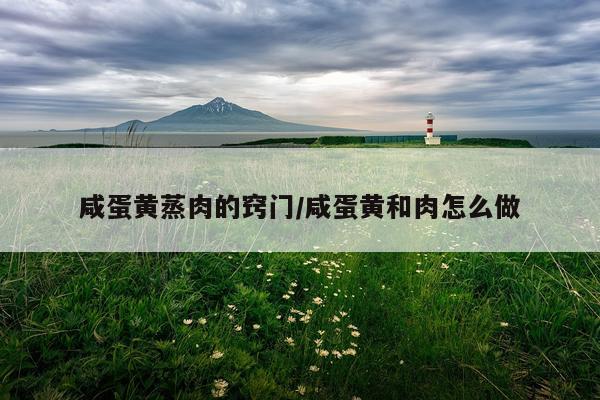 咸蛋黄蒸肉的窍门/咸蛋黄和肉怎么做