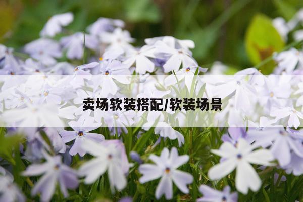 卖场软装搭配/软装场景