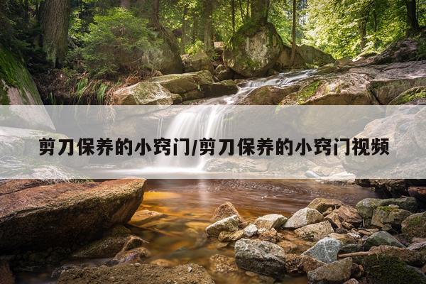 剪刀保养的小窍门/剪刀保养的小窍门视频