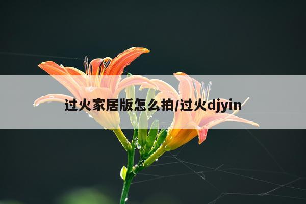 过火家居版怎么拍/过火djyin