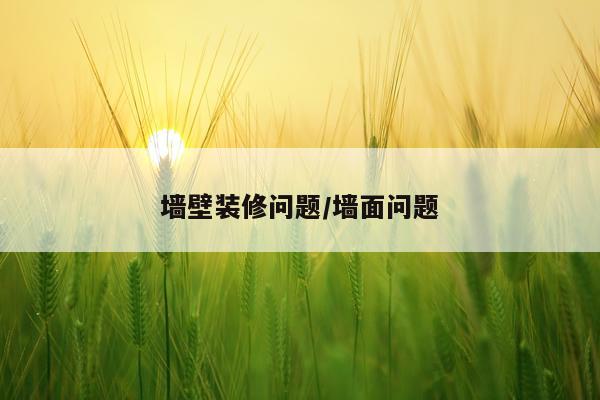 墙壁装修问题/墙面问题