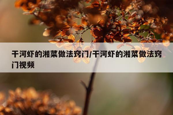 干河虾的湘菜做法窍门/干河虾的湘菜做法窍门视频