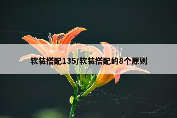 软装搭配135/软装搭配的8个原则