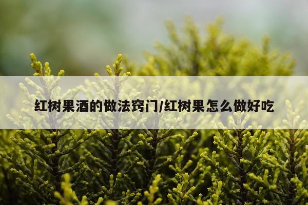 红树果酒的做法窍门/红树果怎么做好吃