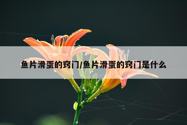 鱼片滑蛋的窍门/鱼片滑蛋的窍门是什么