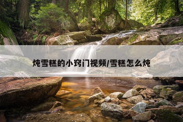 炖雪糕的小窍门视频/雪糕怎么炖
