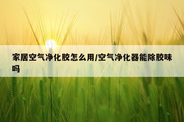 家居空气净化胶怎么用/空气净化器能除胶味吗