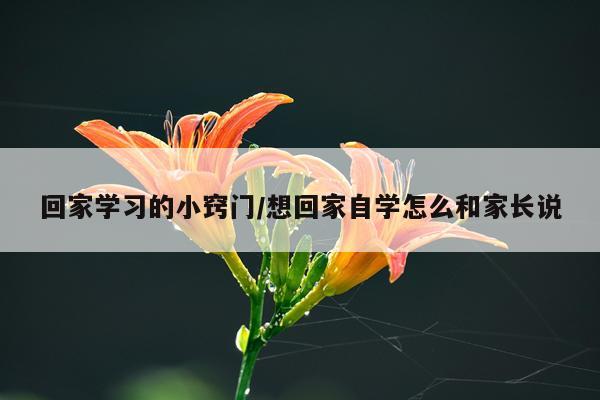 回家学习的小窍门/想回家自学怎么和家长说