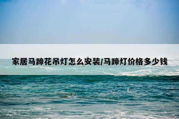 家居马蹄花吊灯怎么安装/马蹄灯价格多少钱