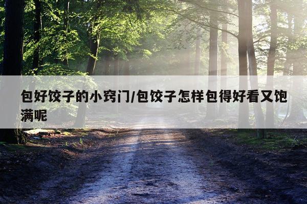 包好饺子的小窍门/包饺子怎样包得好看又饱满呢