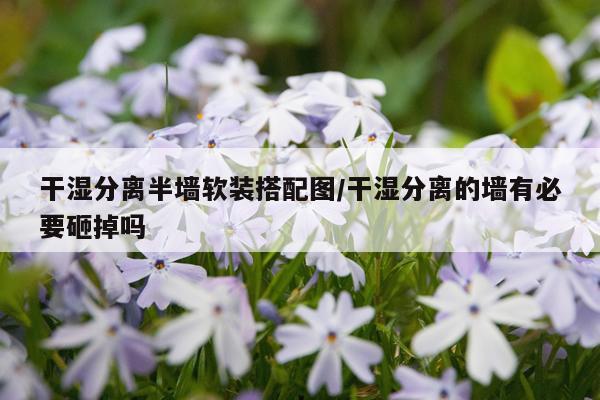 干湿分离半墙软装搭配图/干湿分离的墙有必要砸掉吗