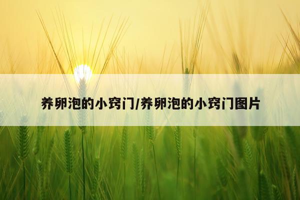 养卵泡的小窍门/养卵泡的小窍门图片