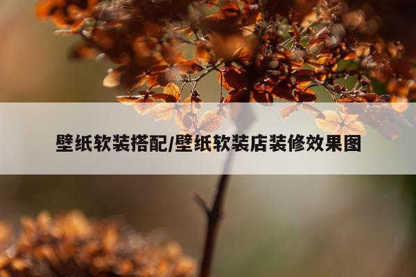 壁纸软装搭配/壁纸软装店装修效果图
