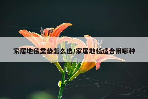 家居地毯靠垫怎么选/家居地毯适合用哪种