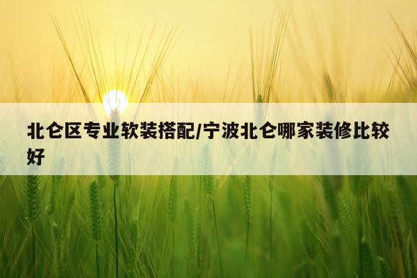 北仑区专业软装搭配/宁波北仑哪家装修比较好
