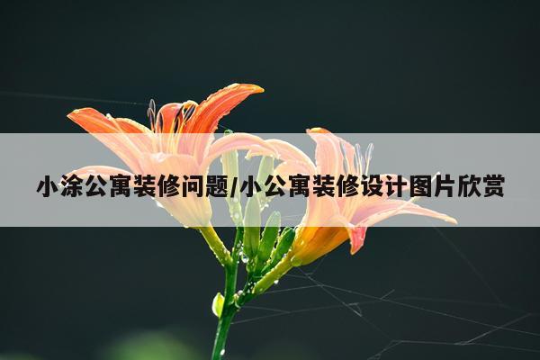 小涂公寓装修问题/小公寓装修设计图片欣赏